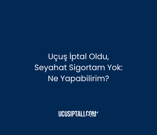 Uçuş İptal Oldu, Seyahat Sigortam Yok: Ne Yapabilirim?