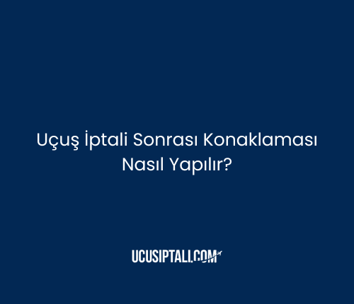 Uçuş İptali Sonrası Konaklama Nasıl Yapılır?