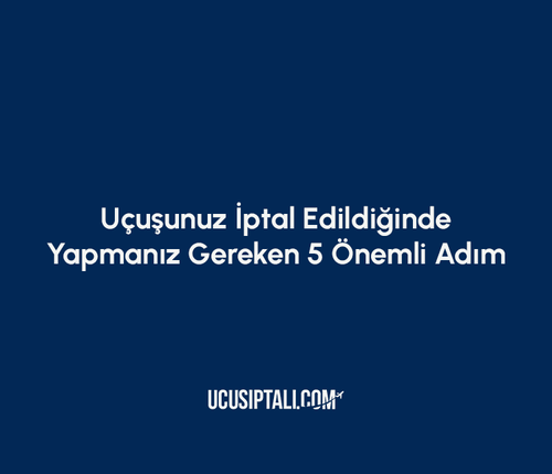 Uçuşunuz İptal Edildiğinde Yapmanız Gereken 5 Önemli Adım